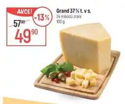 Globus Grand 37% t. v. s nabídka