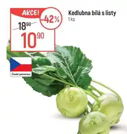 Globus Kedlubna bílá s listy nabídka