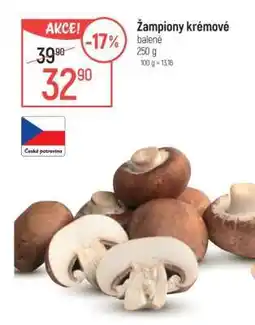 Globus Žampiony krémové nabídka