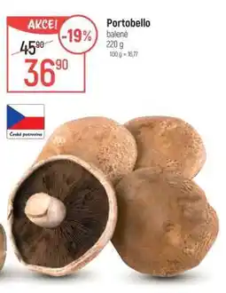 Globus PORTOBELLO nabídka