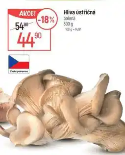Globus Hlíva ústřičná nabídka