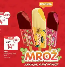 Globus Mrož nabídka