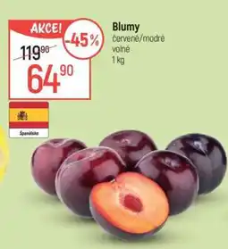Globus Blumy nabídka