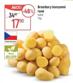 Globus Brambory konzumní rané nabídka