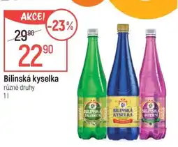 Globus Bílinská kyselka nabídka