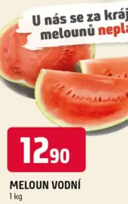 Terno Meloun vodní nabídka