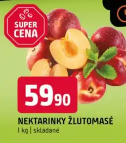 Terno Nektarinky žlutomasé nabídka