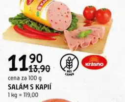 Terno Salám s kapií nabídka