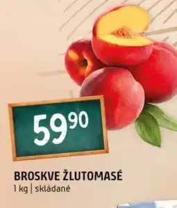 Terno Broskve žlutomasé nabídka