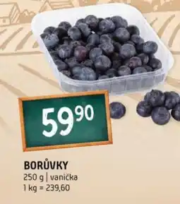 Terno Borůvky nabídka
