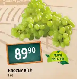 Terno Hrozny bílé nabídka