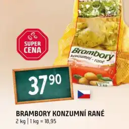 Terno Brambory konzumní rané nabídka
