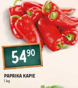 Terno Paprika kapie nabídka