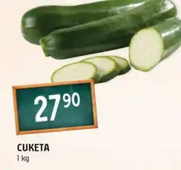 Terno Cuketa nabídka