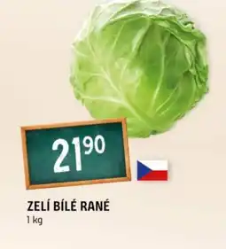Terno Zelí bílé rané nabídka