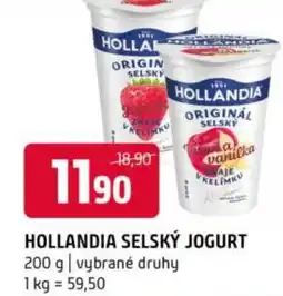 Terno Hollandia selský jogurt nabídka