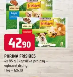 Terno Purina friskies nabídka
