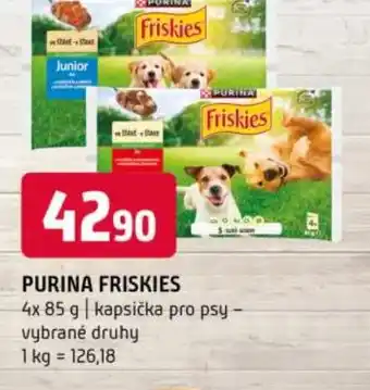Terno Purina friskies nabídka