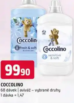 Terno Coccolino nabídka