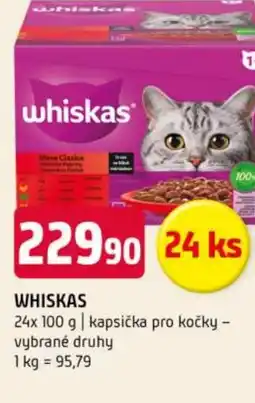 Terno Whiskas nabídka