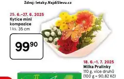 Tesco Kytice mini nabídka