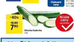 Tesco Okurka hadovka nabídka