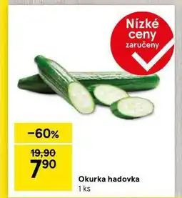 Tesco Okurka hadovka nabídka
