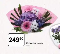 Tesco Kytice hortenzie nabídka