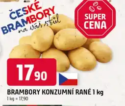 Trefa Brambory konzumní rané nabídka