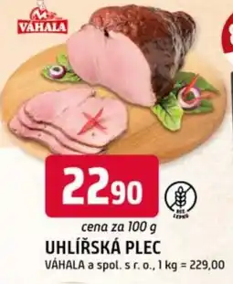 Trefa Uhlířská plec nabídka
