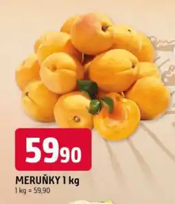 Trefa Meruňky nabídka