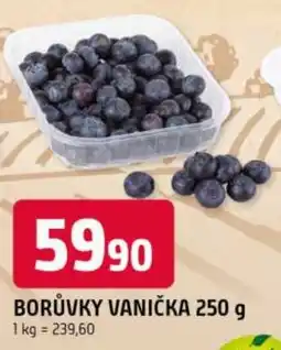 Trefa Borůvky vanička nabídka