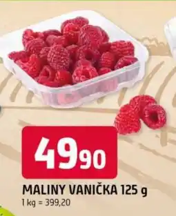 Trefa Maliny vanička nabídka