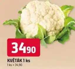 Trefa Květák nabídka