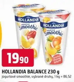 Trefa HOLLANDIA Balance nabídka