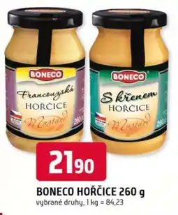 Trefa BONECO Hořčice nabídka