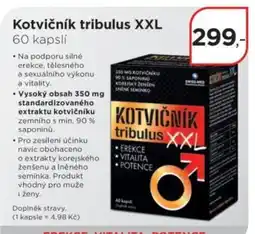 Magistra lékárny Kotvičník tribulus XXL nabídka