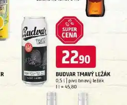 Terno Pivo budvar nabídka