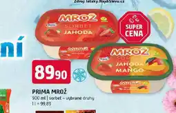 Terno Mrož zmrzlina nabídka