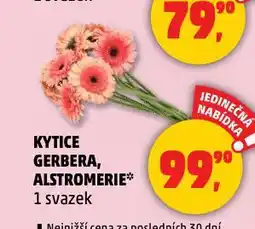Penny Market Kytice alstromerie nabídka
