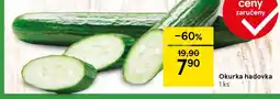 Tesco Okurka hadovka nabídka