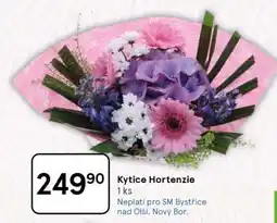 Tesco Kytice Hortenzie nabídka