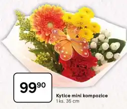 Tesco Kytice mini kompozice nabídka