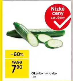 Tesco Okurka hadovka nabídka