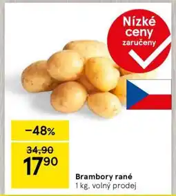 Tesco Brambory rané nabídka