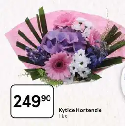 Tesco Kytice Hortenzie nabídka