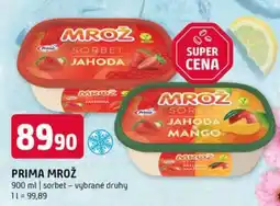 Terno PRIMA Mrož nabídka