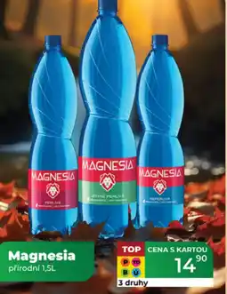 Tamda Foods Magnesia přírodní nabídka