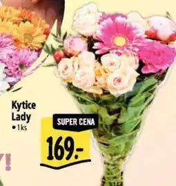 Albert Kytice Lady nabídka