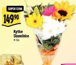 Albert Kytice Slunečnice nabídka